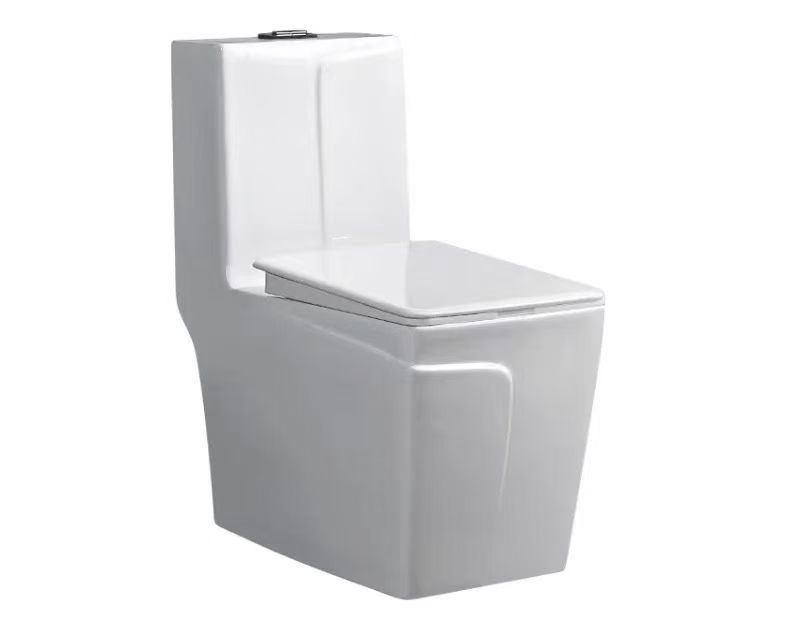 مرحاض من منتجات شركة راما